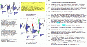 S&P 500 emini pre-open 24th August