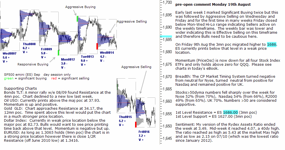 S&P 500 emini pre-open 19th August