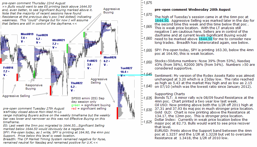 S&P 500 emini pre-open 28th August