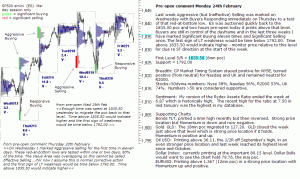 S&P 500 emini pre-open 24th February