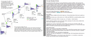 can the emini hold 2087