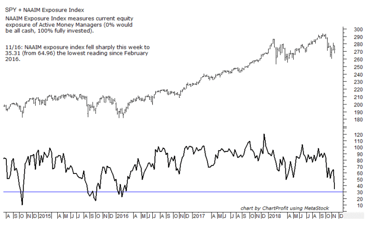 naaim index chart