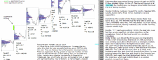 emini SP500